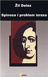 Spinoza i problem izraza